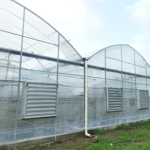 China  plastic  conservatory  ploytunnel winter commercial  chinese tomato/mushroom agricultural plastic film  greenhouses