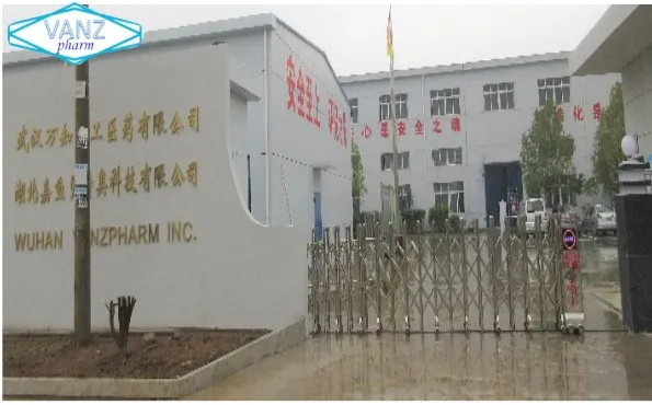 
bulk supply nootropics powder /Noopept/nsi 189 //Sunifiram/Unifiram//alpha-gpc Phenibut/ 