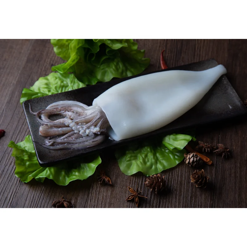
Highly cost effective tentacle squid t+t Frozen bulk squid T+T 