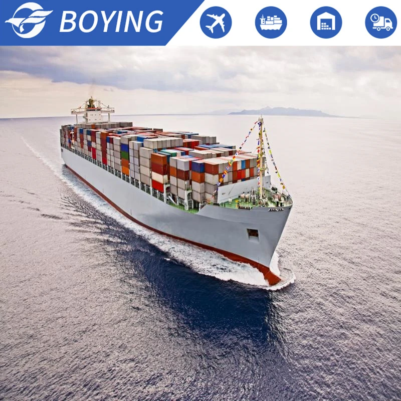 Cheap sea  Freight Shipping Agent DDP truck door to door shipping to USA/Mexico/Toronto/Hamburg international freight
