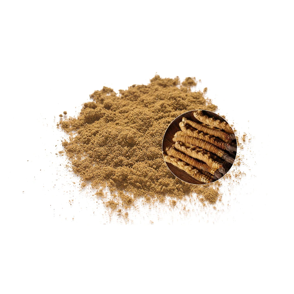 Durlevel Supply Cordyceps Sinensis Extract 0.6% 1% 3% 5% Cordyceps Sinensis