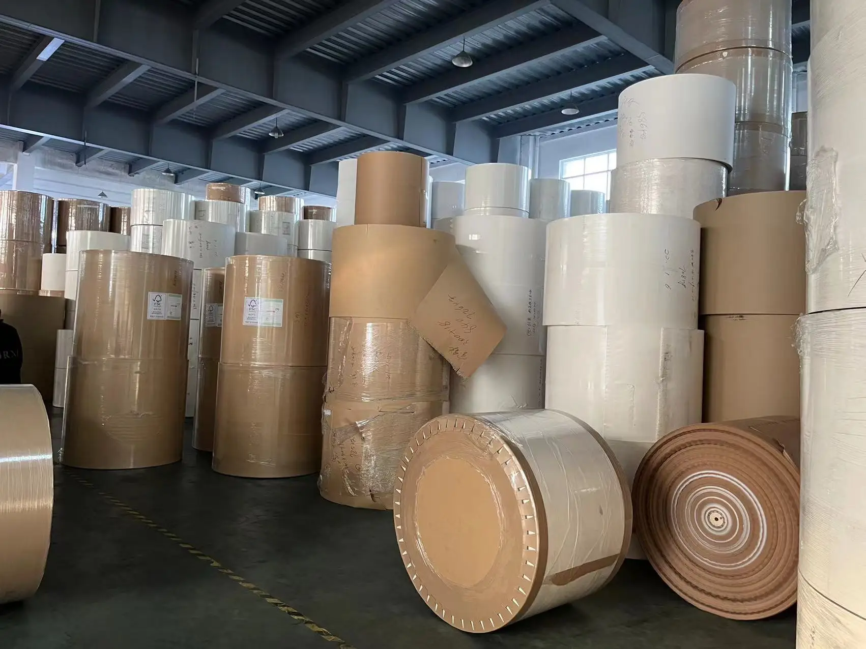 Paper Cup Fan without printing PE Coated Cup Paper in Fan/ Reel/ Sheet