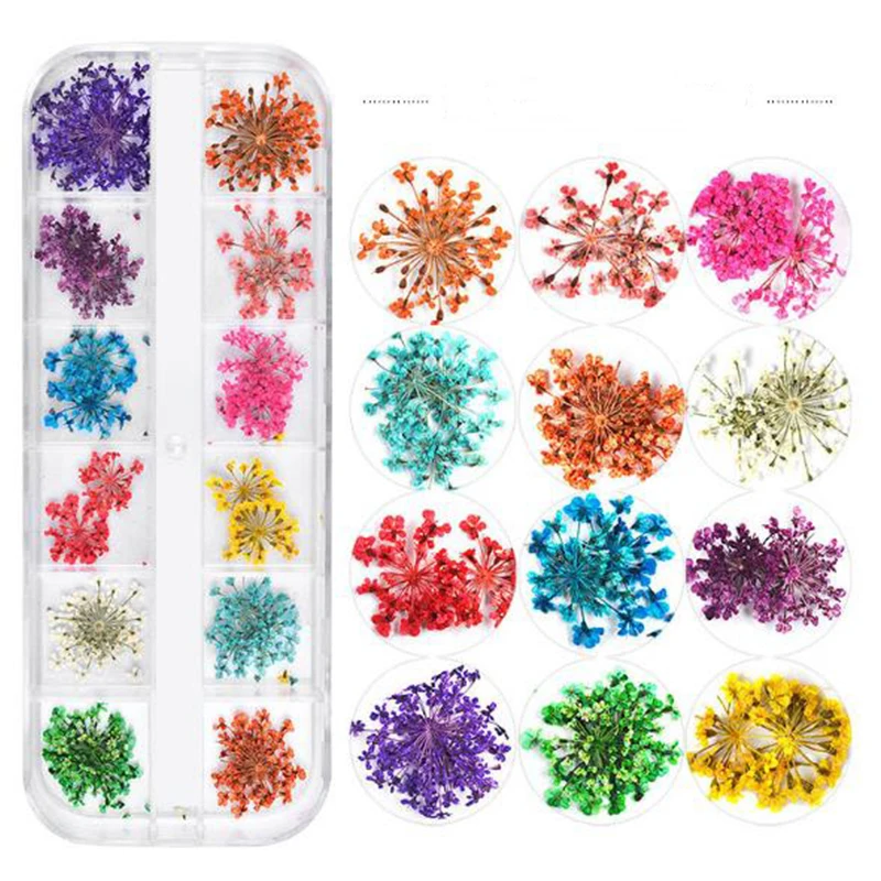 China Factory 12pcs/Box Nail Dried Flowers Multi Colors Natural Pressed Dry Flower Decoration Mini Nail Art Dried Flower