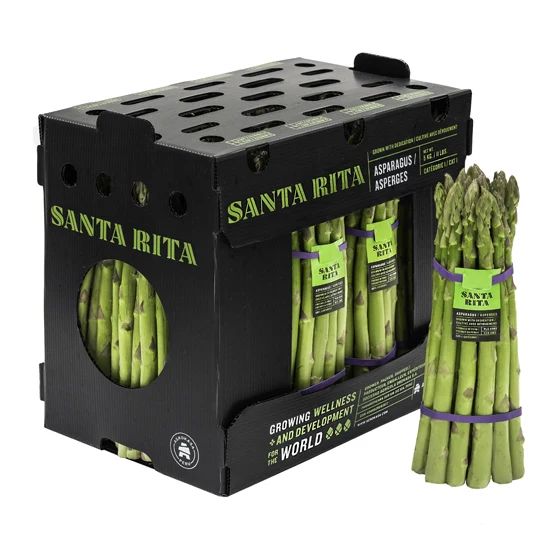 Wholesale Factory Price China Corrugated Plastic Ginger Packaging Box For Packing