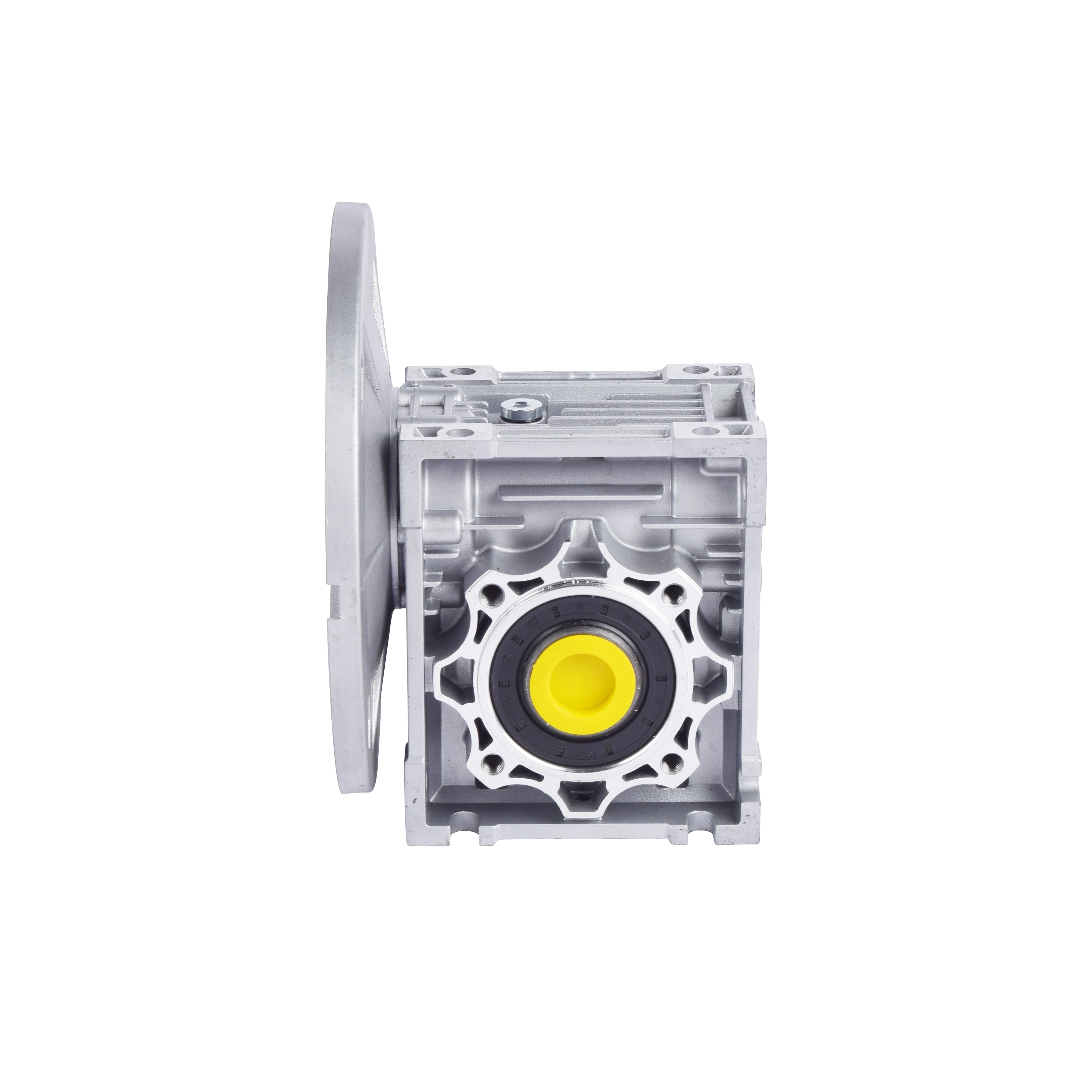 Cast Iron Reduction Gearbox Worm Gear Reducer for Extruder Power Tool Accessories