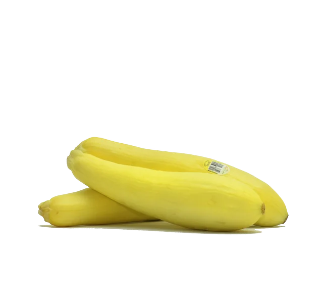 
Fresh Organic Yellow Zuchini Squash Pumpkin 