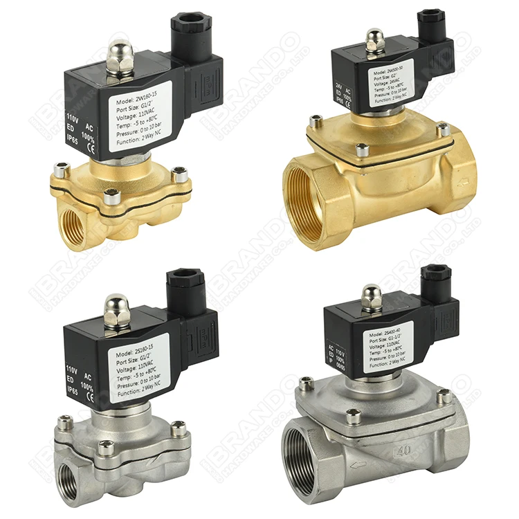 2W 2S Series Brass Stainless Steel Water Solenoid Valve 3/8' 1/2' 3/4' 1' 1-1/4' 1-1/2' 2' Inch 24V 110V 220V 120V 230V