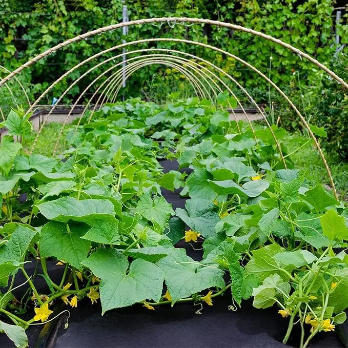 Shandong Factory Direct Sale Agricultural PP Weed Mat Woven Plastic Agro Textile Greenhouse Hot Sale Arrivals at Factory Price