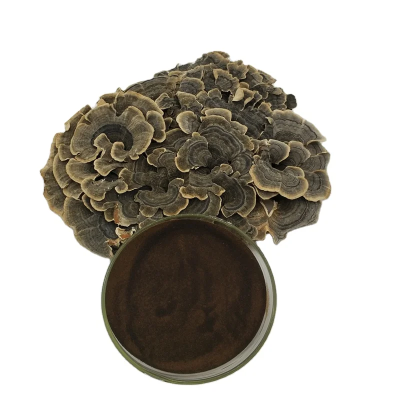 mushroom factory, manufacturer,Coriolus versicolor extract PSP,PSK