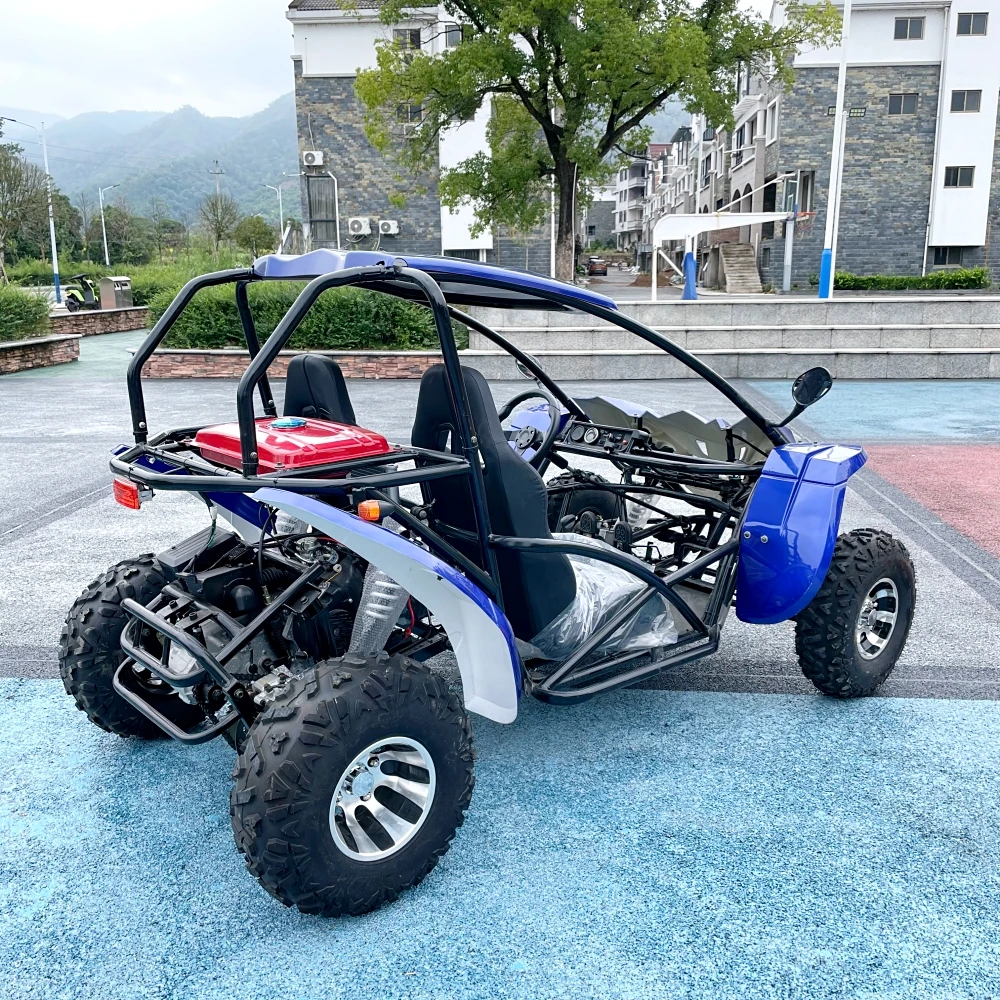 LNA easy ride 200cc off road buggy frame