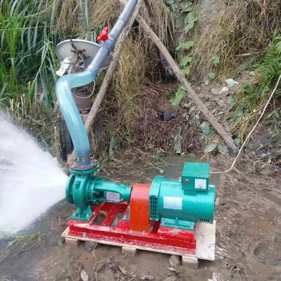 30kW Francis water turbine permanent magnet alternator