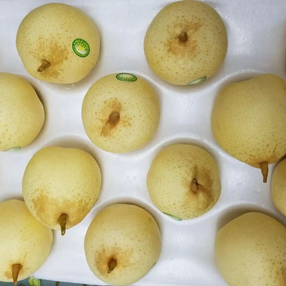 Juicy pear high quality for export from China fresh Ya pear hot on sale Chinese fruit sweet and
