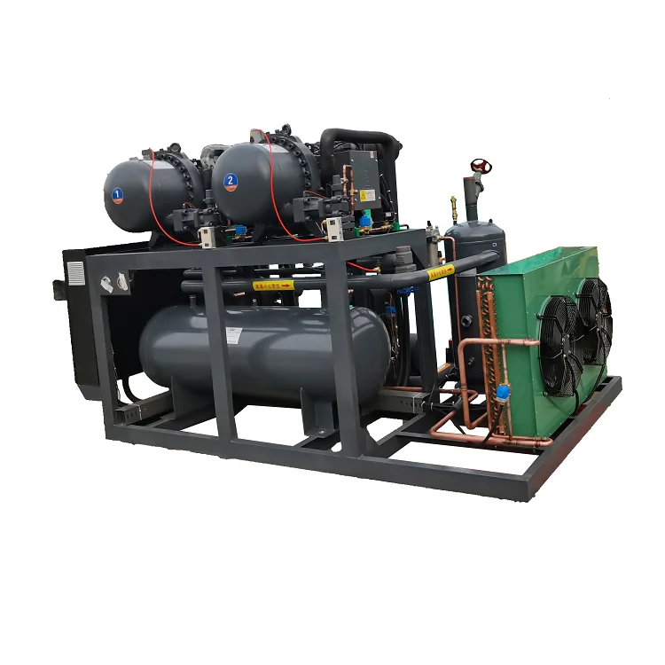 Industrial Shell and Tube Evaporator Refrigeration Monoblock Compressor Condensing Unit Low Temp Screw Parallel Unit For Fusheng