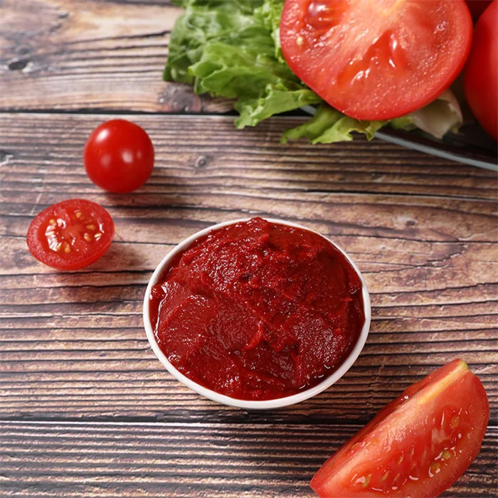 Free Sample Canned Tomato Paste 400g Canned Tomatoes Paste Small Tins Tomato Paste