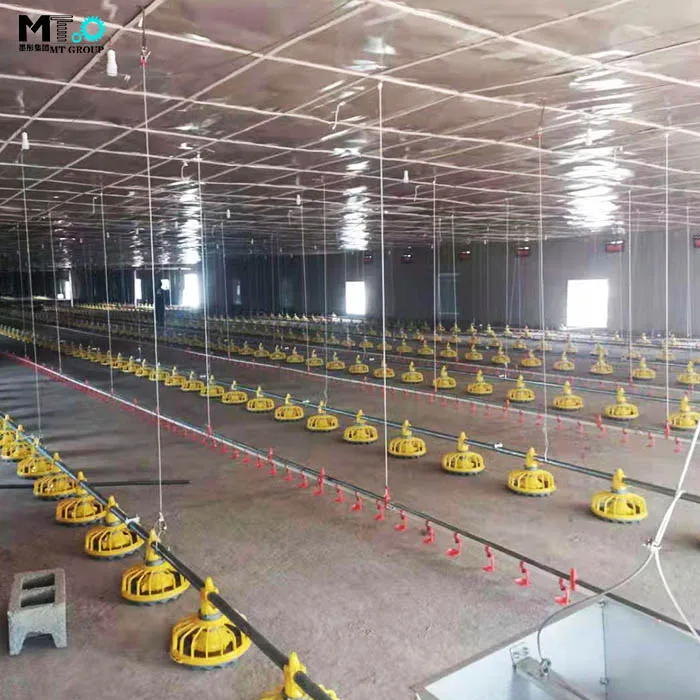 
 Для разведения бройлеров на земле, мы можем поставлять оборудование для разведения и питьевую систему  