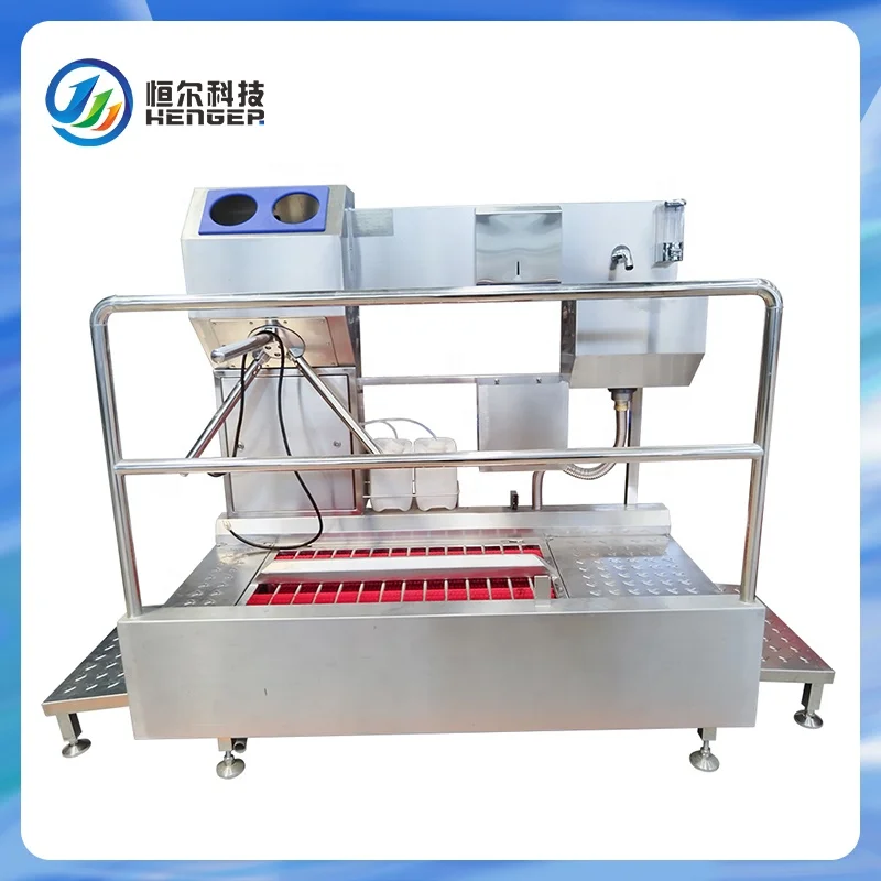 Continuous compact deep boot washer hand hygiene cleaning station disinfection