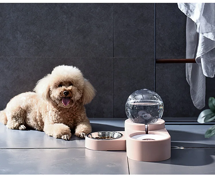 2in1 Pets Cat Dog Water and Food Bowl Set Feeding Bowl Automatic Water Dispenser Fountain Water Bowl