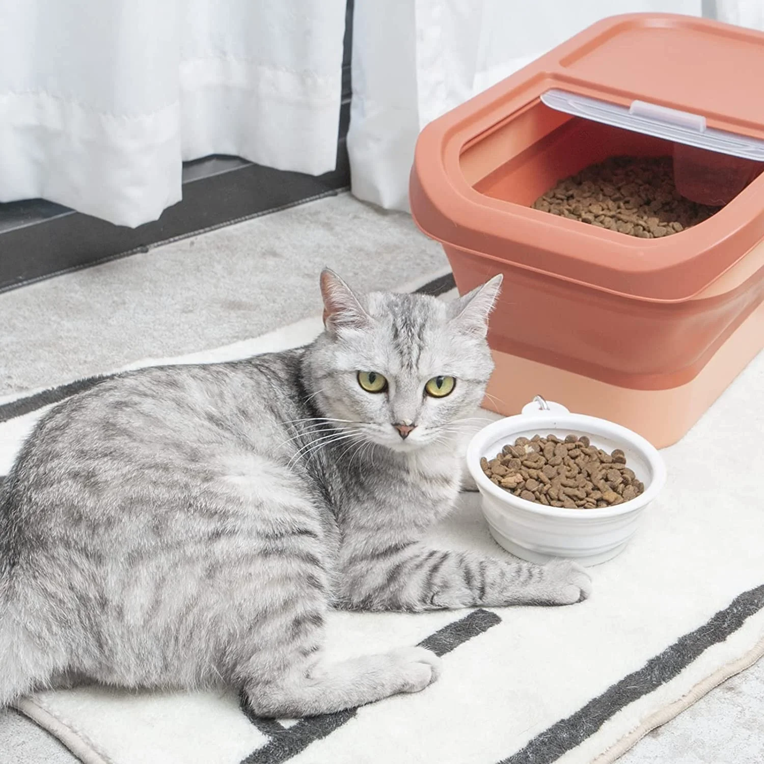OEM cosas para mascotas Cat Dog TPR+PP Food Storage Container Collapsible Food Airtight Treat Container Pet Food Storage