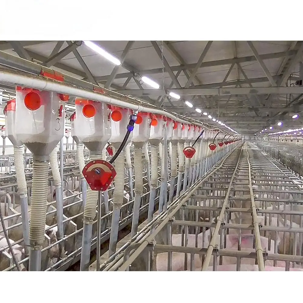 Factory Supply Modern Pig Farm Automatic Feeding System Project Professional Design EPC