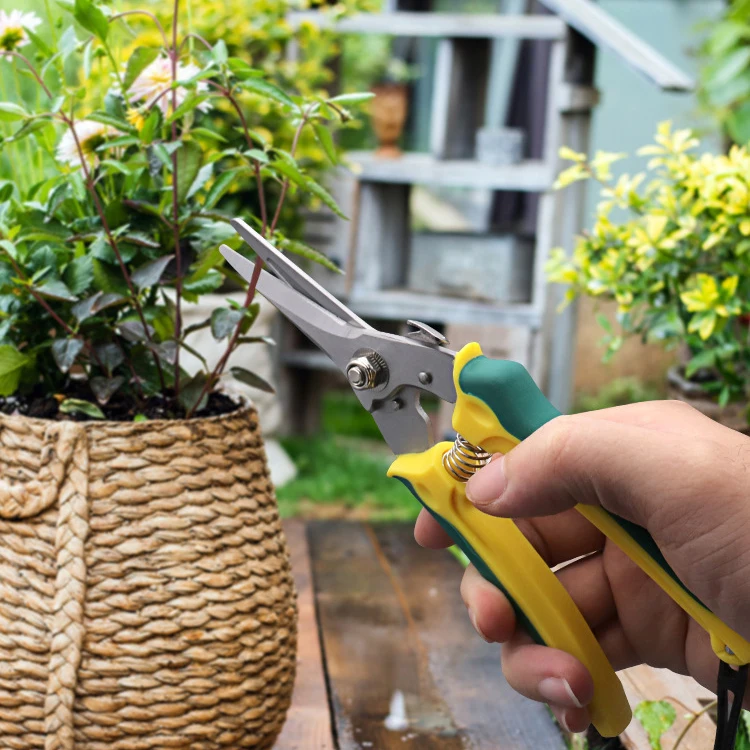 Professional Sharp Gardening Hand Pruner Garden Scissor garden flower grape fruit pruner shears