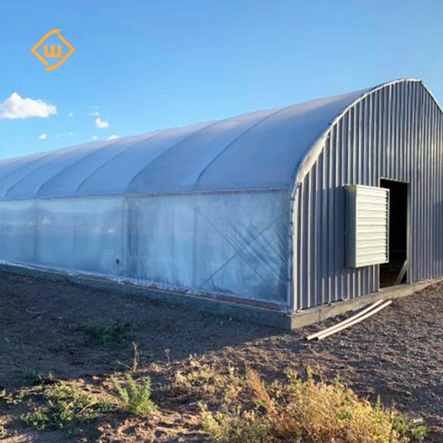 Agricultural Single Span Plastic Tunnel Greenhouse