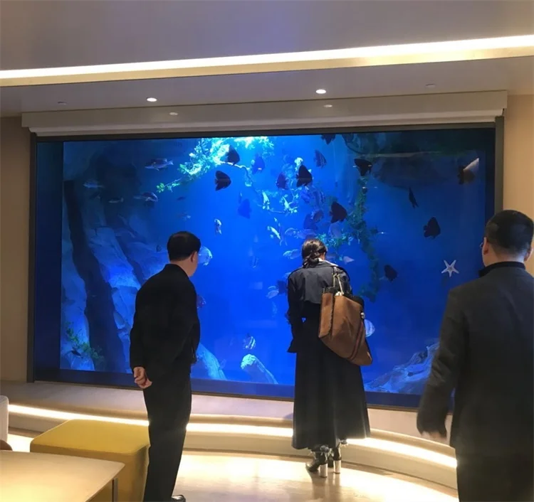 Beautiful Acrylic Fish Tanks Are Used in Restaurant Aquariums & Accessories Plastic 100% Imported Lucite After Filtering 500l