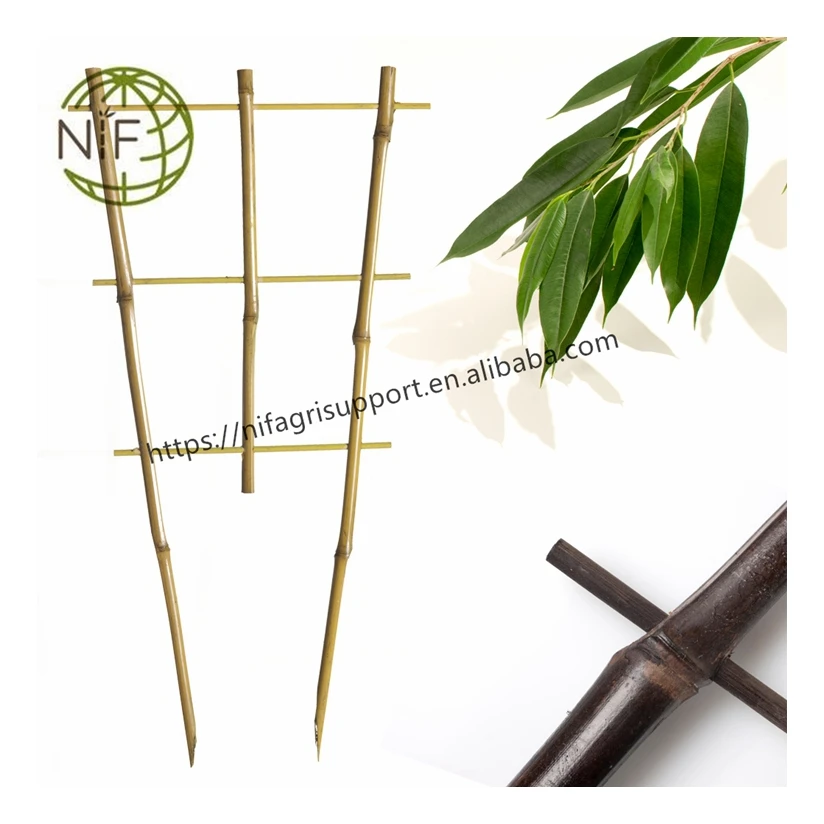 NIF Widely used superior quality sticks trellis bamboo canes trellis for climbing plants