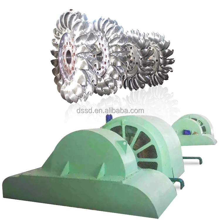 Pelton Hydroelectric Turbine Hydro Generator Type