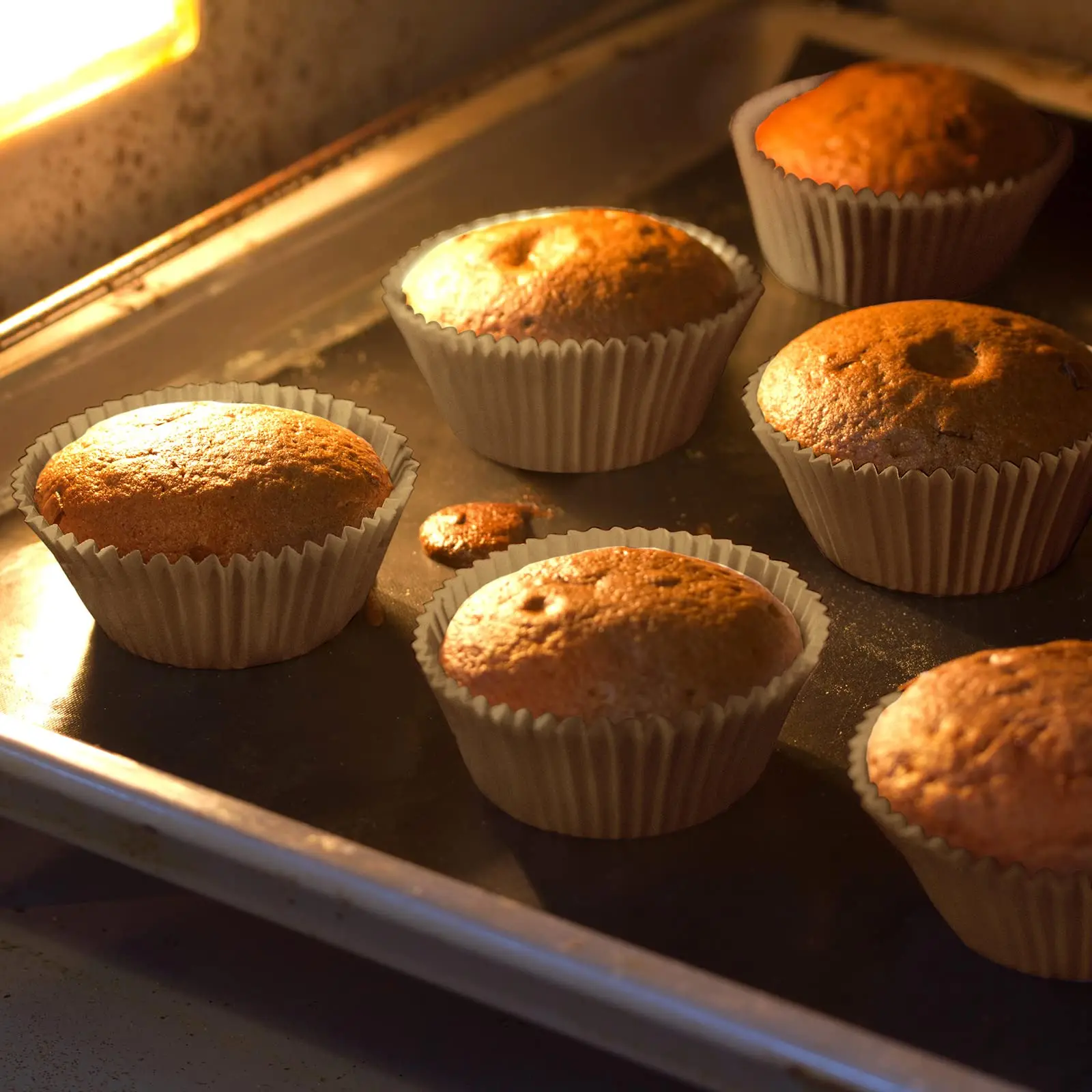 Custom Printed Paper Cupcake Liners  Baking Cups Premium Mini Disposable Capacillo Container 5cm Moldes  Muffin Cups Cake Liners