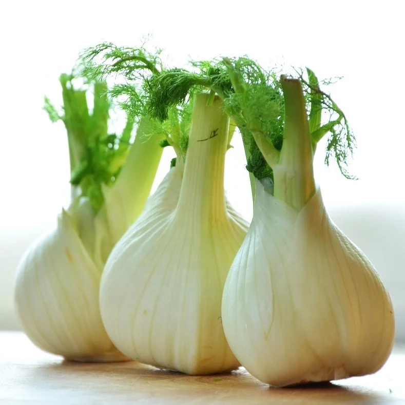 Ready To Eat Vegetable Dishes 100% Made In Italy Fennel Pieces In Purified Seawater Rich In Vitamins And Nutrients  Health Food
