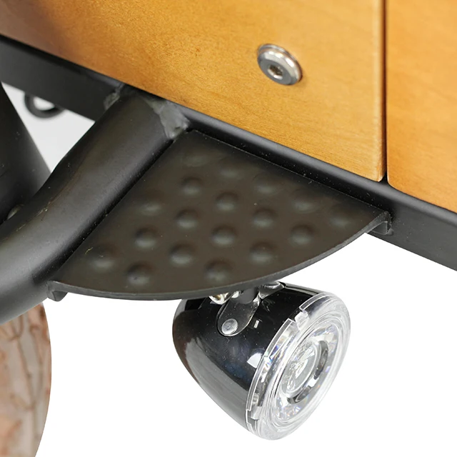 BODO 3 колесный Электрический грузовой велосипед/трехколесный Электрический грузовой велосипед 250 Вт бесщеточный двигатель Bafang