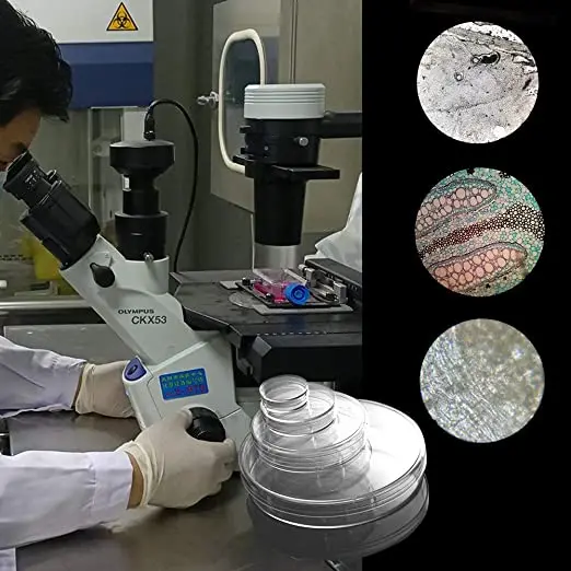 Laboratory Disposable Plastic Sterile Petri Dishes with TC Treated Surface