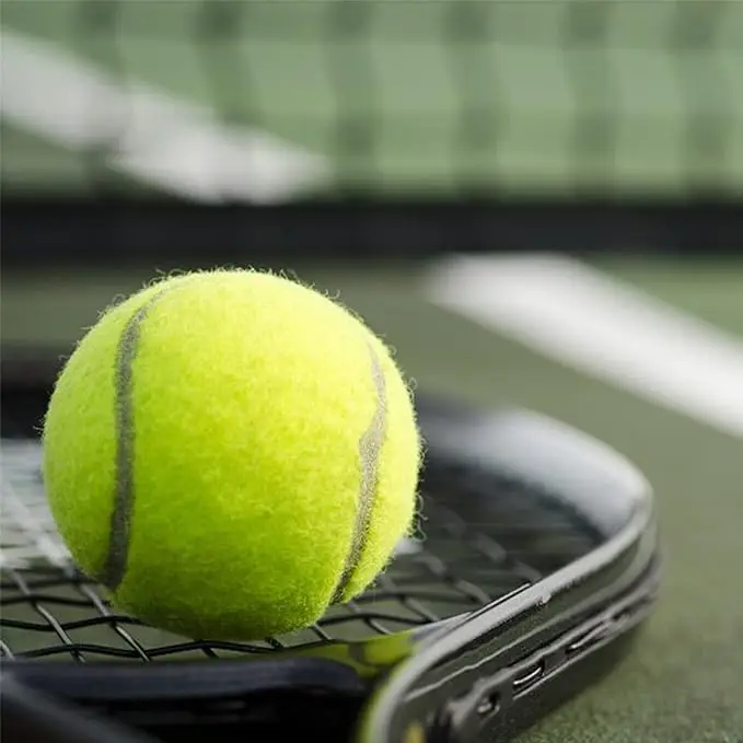 Wholesale Professional Felt Pressurized Padel Ball Adult Training Tennis Ball