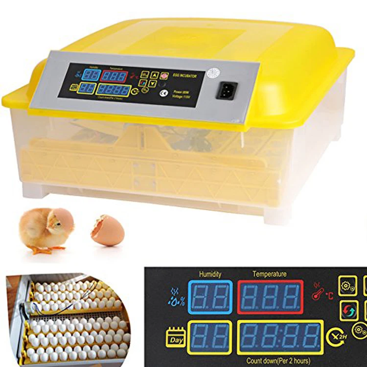 HHD full automatic chicken egg incubator in uae for sale 48 eggs 12v 220v incubator