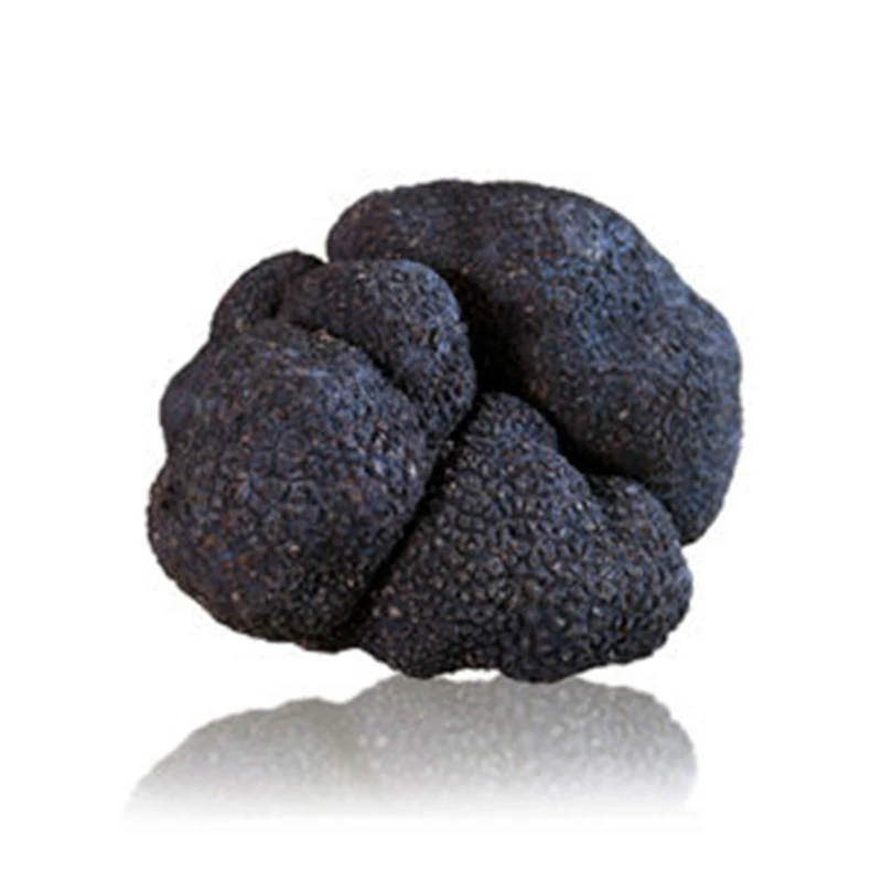 Высококачественное сырье, свежий черный Estivo Tartufo Nero Fresco Italia