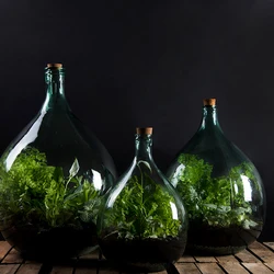 Esschert Design AGG50 indoor plant including toolset 50 litre set bottle glass closed terrarium with cork