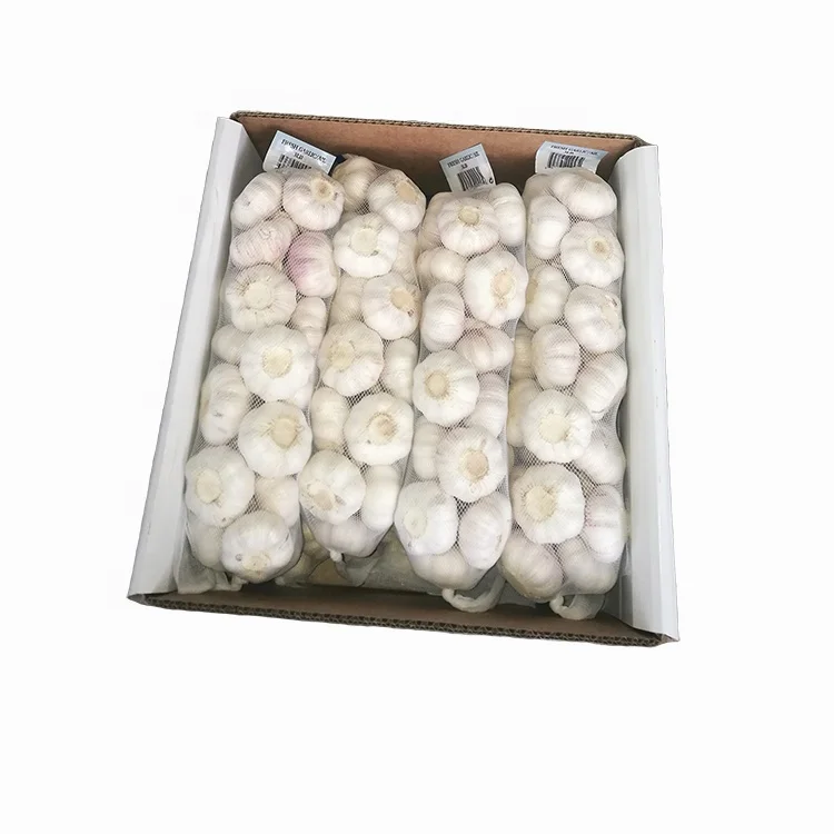  Garlic fresh normal white garlic high quality low price packing mesh net bag for