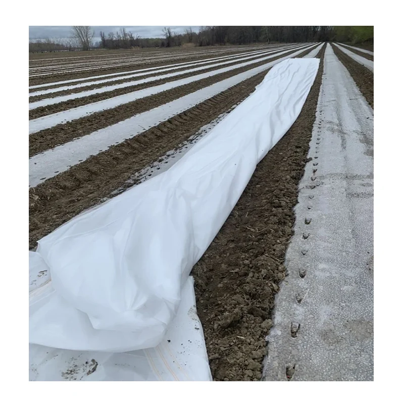 Wholesale Custom PP Crops Non-Woven Cold Proof Fabric Frost Protection Agriculture Non Woven Fabric For Plant Tree Cover