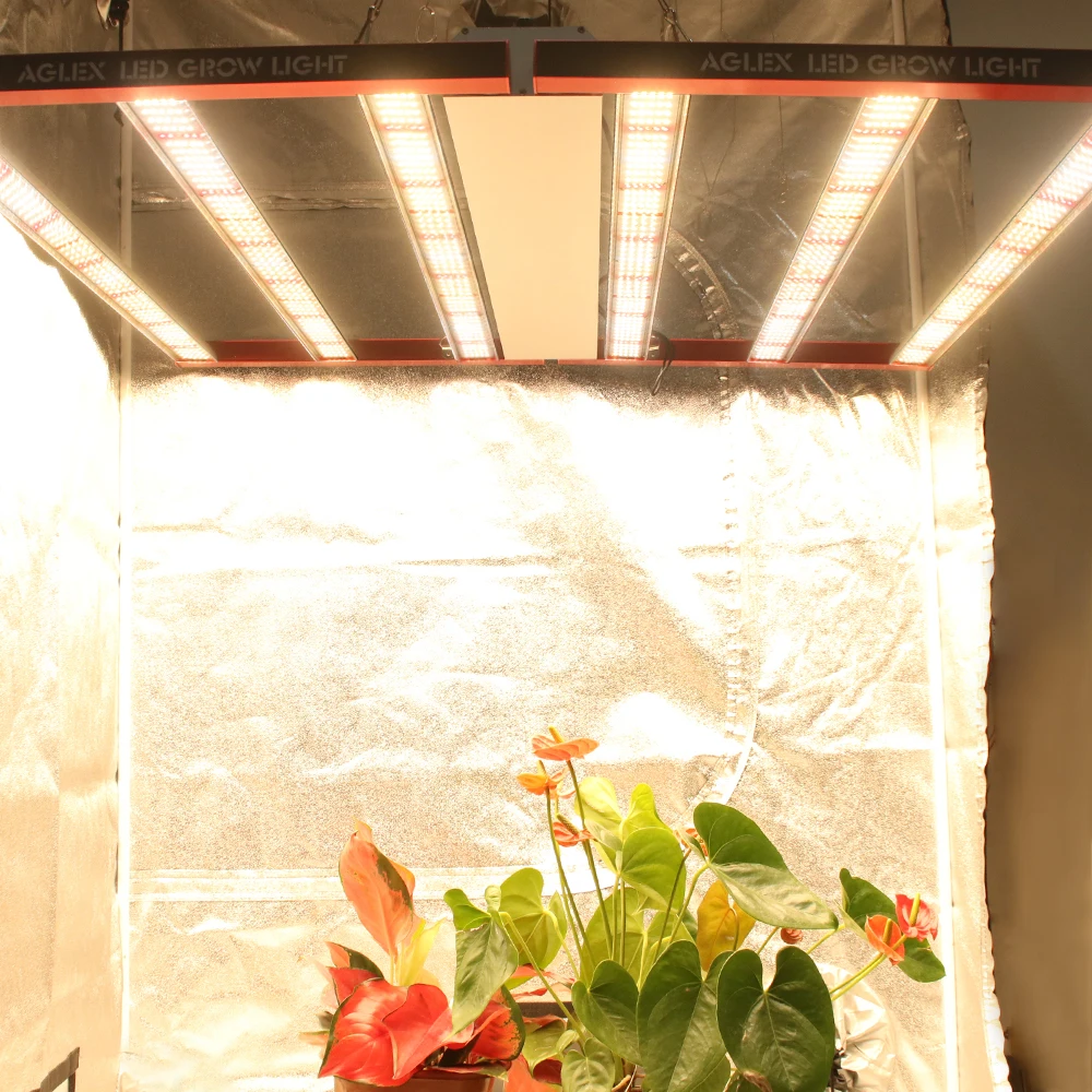  Yields up to 3.9 Lbs DLC Approved 720w 645w 2.8umol/J LM301B Chips Dimmable 4*4 / 4*6 Gavita Full Spectrum Led Grow Light
