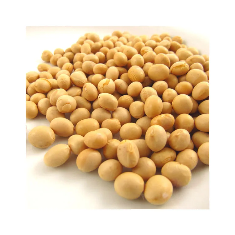 Soybeans NON-GMO Soya Beans Soybeans Crop High Quality Soybean/Soya Bean Wholesale