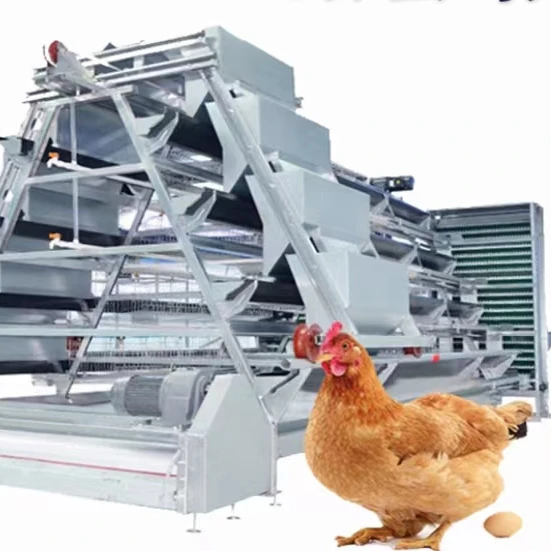 chicken cage Great farm Poultry Equipment A Type H type 3 5 Tier Chicken Layer Cage With Egg Collection