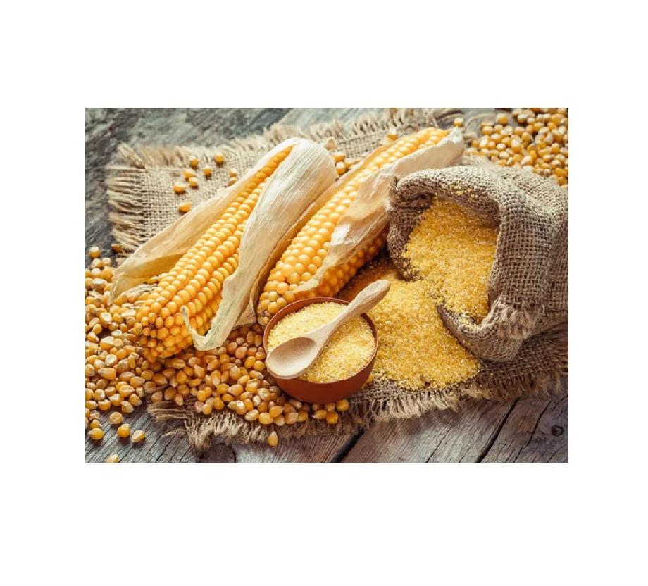 Wholesale High Quality Dried Corn Gluten Meal Bulk Corn Gluten Feed Corn Gluten Meal Supplier Exporters
