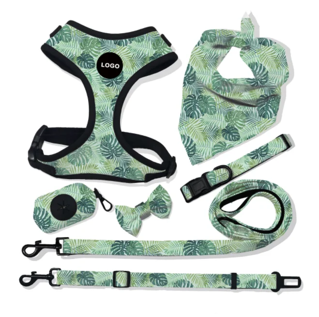Newest design dog harness, custom different color and logo dog harness and leash set