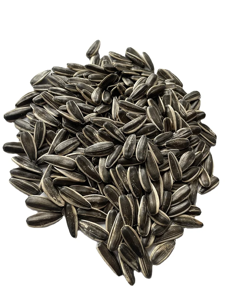 Wholesale Raw Chinese 2021 Hot Sale Natural Organic Sunflower Seeds for Bulk Buyers