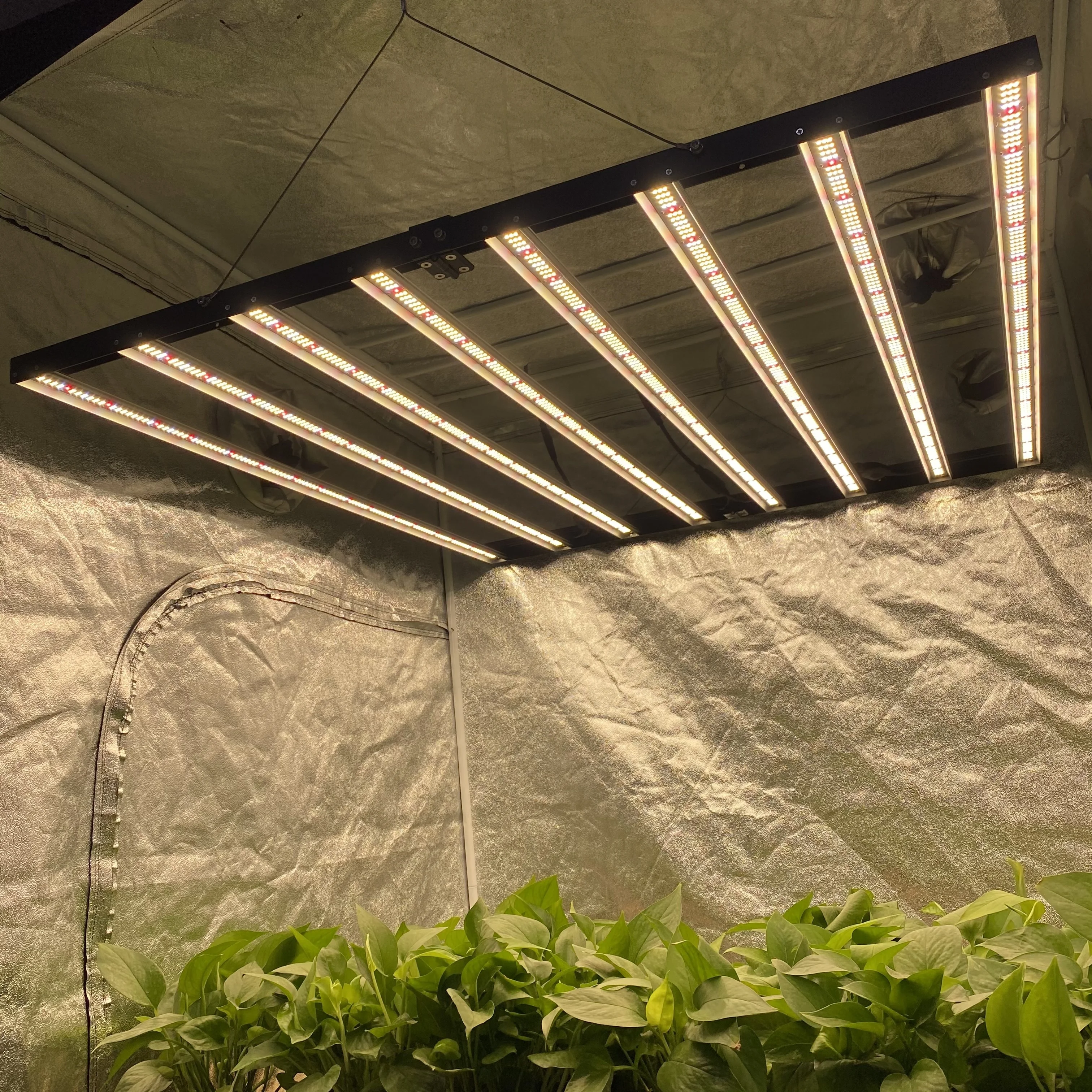 US and Thailand STOCK Full Spectrum Led grow light real power 720w Commercial Grow Light Folding Design Grow Light