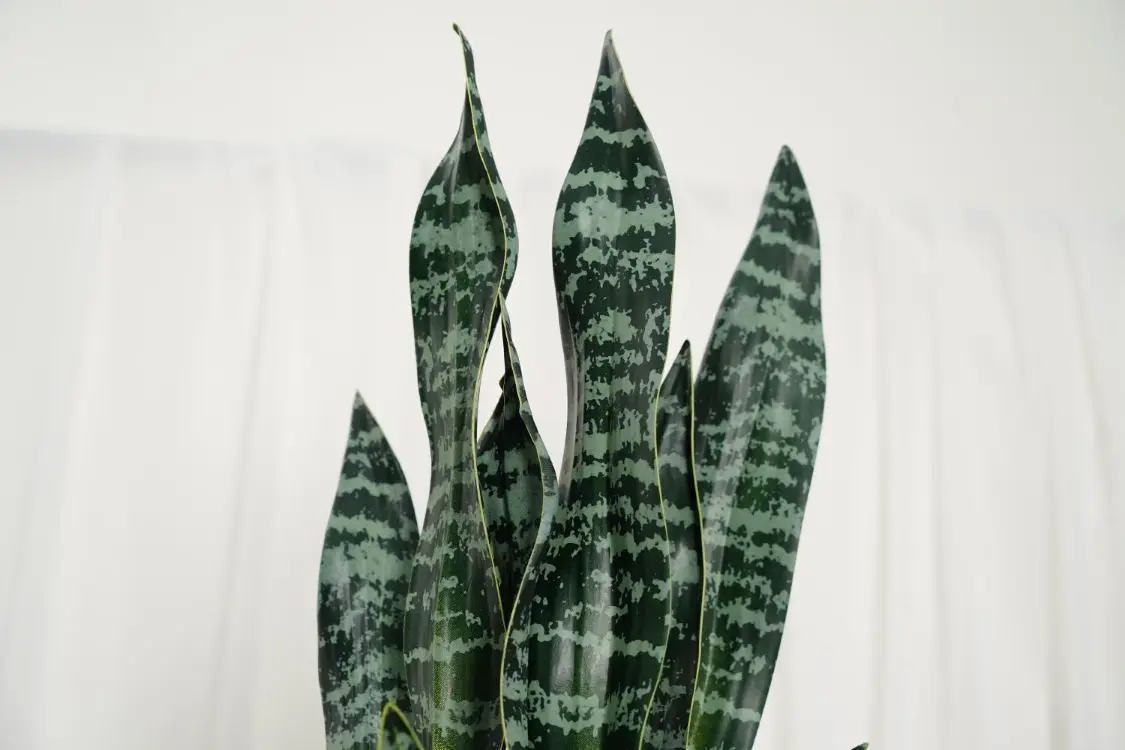 Hourpark Factory Anti-UV Waterproof Outdoor Agave Bonsai Sets Artificial Plants For Decoration