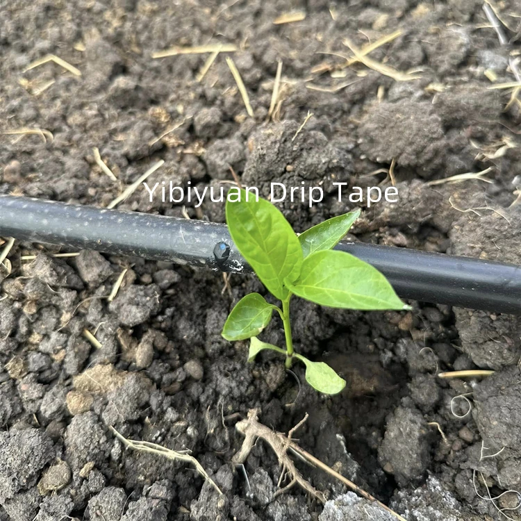 Agricultural watering system greenhouse farm drip irrigation tape and pipe fitting 16mm blind drip tape 0.4mm 2000m roll