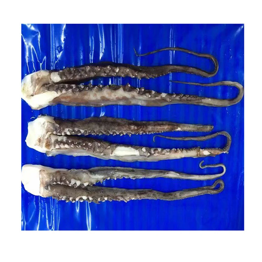 Good tasty freezing process frozen bqf giant squid tentacle,seafood processing for frozen squid tentacle