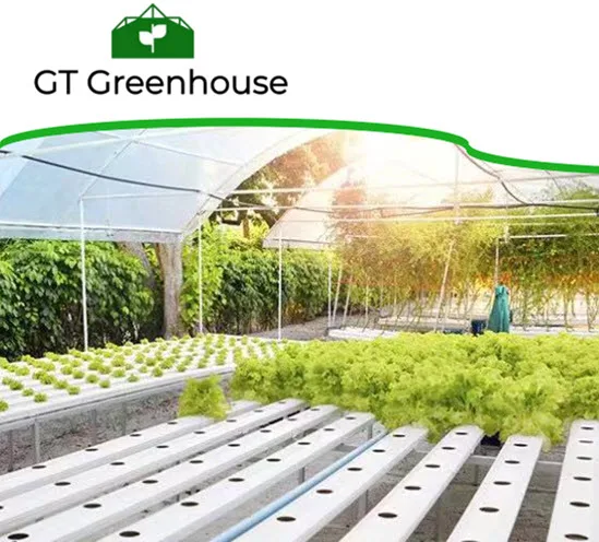  Теплица системы Aquaponic для