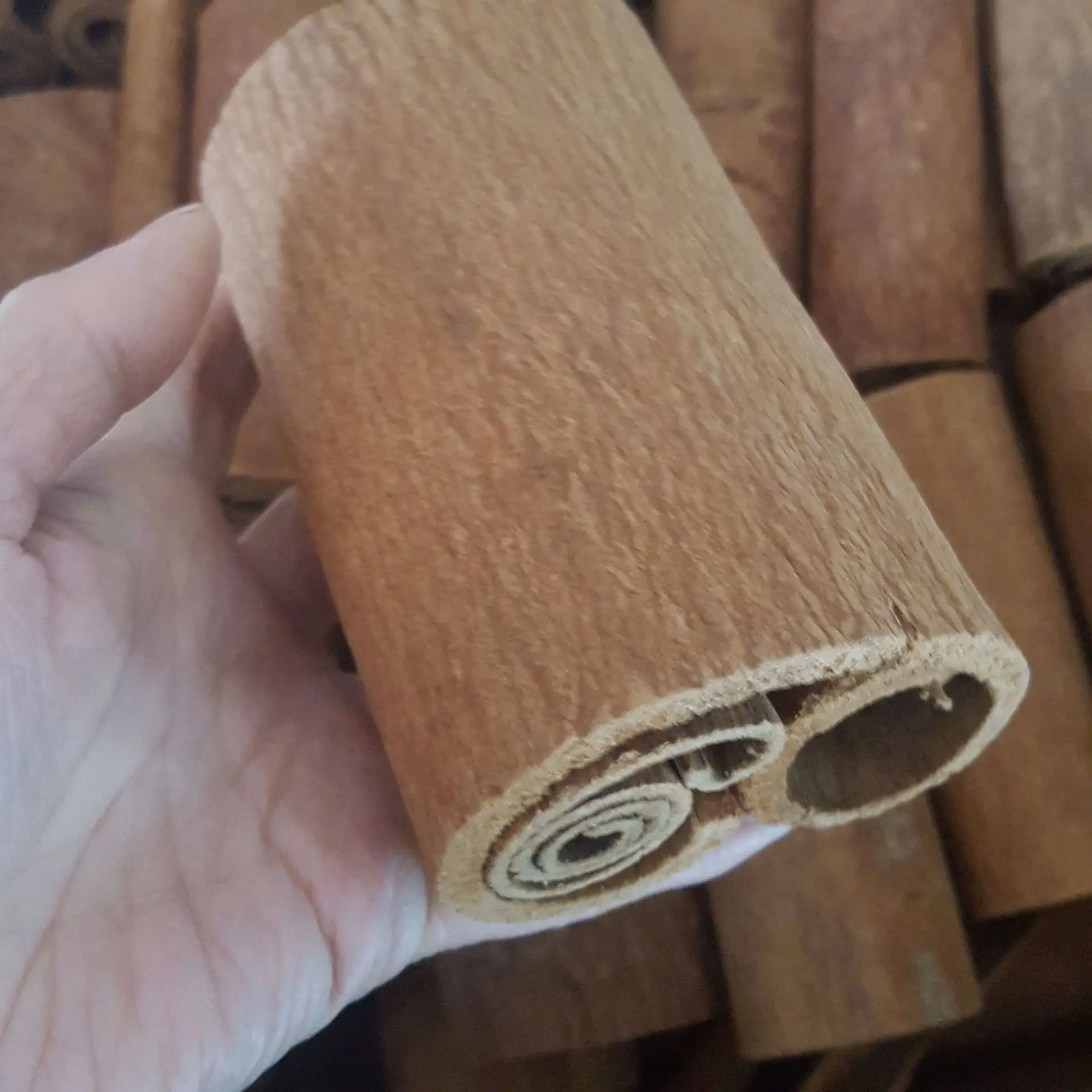 Spices Pure Cinnamon Cassia Bark Slices China Wholesaler Sales High Quality Chinese AD Single Herbs & Spices Cassia cooking